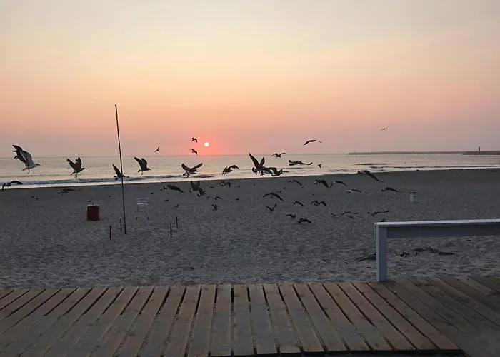 Apartment Sardine House *